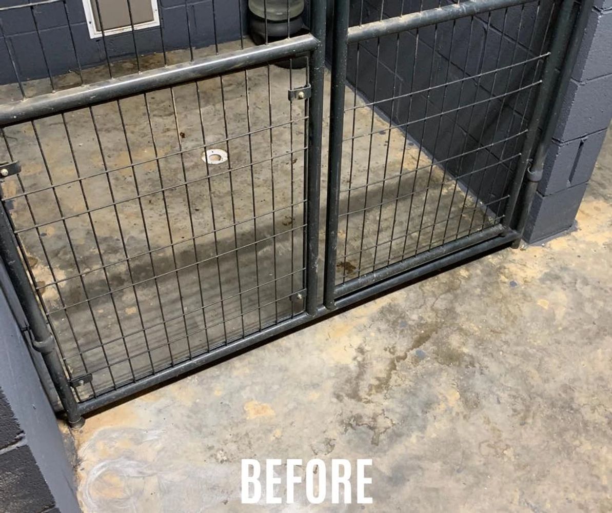 stained animal shelter floor before commercial epoxy installation