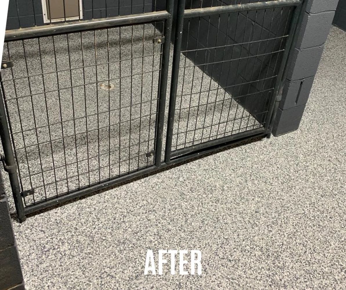 gray flake commercial epoxy installation at animal shelter in monroe nc